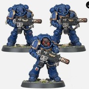 Space Marines Primaris Eradicators (Indomitus) 