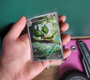 Vibrava Illustration Rare 206/191 Pokemon Surging Sparks