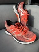 Sportowe Buty do biegania Asics GT-2000 4 Lite-show Plasmaguard 