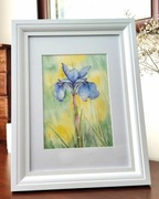 obraz akwarela "IRYS"