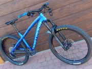 Dartmoor Hornet Pro 2019 mega stan