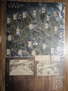 Wiedźmin Stary Świat - plansza oraz komplet kart