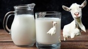 Mleko kozie niepasteryzowane Smart