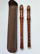 FLET PROSTY 2 SZT. STARE