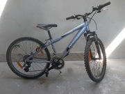 Rower Wheeler 24 cale