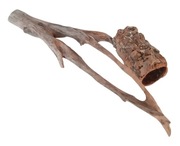 korzeń tuba dąb korkowy terrarium