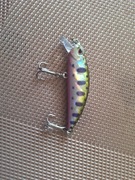 Wobler kolorystyki pstrągowej