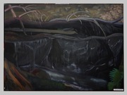 Strumień w Ochotnicy Górnej