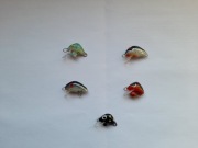 Woblery kleniowo jaziowe małe G.K. 5 szt.