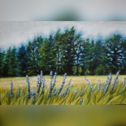 Obraz "Dziewanny w polu"