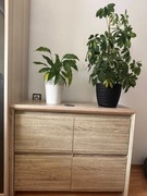 pojemna komoda z czterema półkami