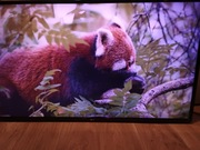 Telewizor LG 49UH603V