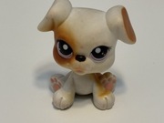 Pies piesek BOKSER Littlest Pet Shop LPS