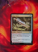 Mage Slayer karta MTG