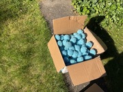 Kulki filtracyjne do basenu.