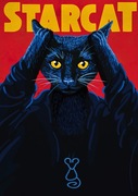 Plakat A4 „Starcat”