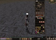 Szaman Smok 75 LVL – Gotowy do Groty! EQ +9  Bagjanamu