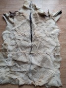 Skóra naturalna kozia dekoracyjna