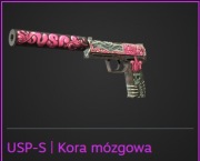 USP-S | Kora mózgowa [WW] CS SKIN