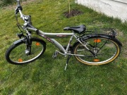 Rower Pegasus Avanti Alu A6-21