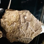 Siarka, celestyn , Tarnobrzeg, minerały, kolekcja