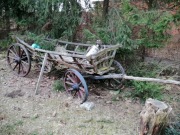 Stara fura, ozdobne.