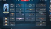 Konto Valorant Ascendant + skiny