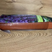 Mini doniczka do rozsadu torfowa 6 cm