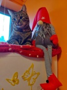 Skrzat Krasnal Rękodzieło Zabawka Ozdoba 