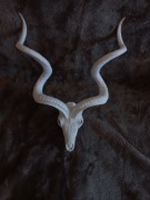 Kudu czaszka skull druk 3D