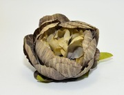 Ekskluzywna Główka Piwonii –Kawa z mlekiem(Taupe)– Premium DIY