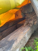 Stare belki drewniane / Stare drewno 