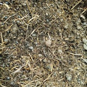 Gnój kurzy 25kg naturalna struktura - nie granulowany. Kurzak pod pomidory