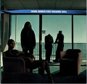 CD  Skunk Anansie – Post Orgasmic Chill