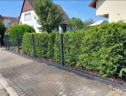 Ogrodzenie panelowe 2D  6/5/6 1,23 m  solidne - 100 m komplet.