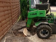 Gursped - Frezowanie Pni i Usuwanie Korzeni Stargard i Okolice - Szybko