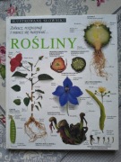 Rośliny. Ilustrowane słowniki
