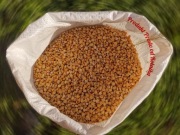 Groch połówki opakowanie 25kg 