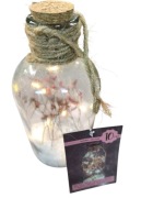 Wyjątkowa dekoracyjna butelka szklana 10LED z Suszonymi Kwiatami