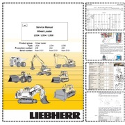 Liebherr L524-438 L534-434 L538-432 Service Manual Instrukcja serwisowa