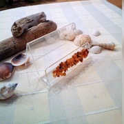 Wizytownik z bursztynami