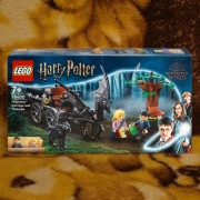 LEGO 76400 Testrale i kareta z Hogwartu