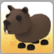 Adopt me Capybara Roblox