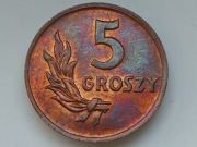 5 groszy 1949 Bazylea (1166)