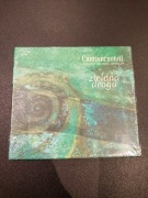 CARRANTUOHILL, CELTIC MUSIC GROUP - ZIELONA DROGA, folia