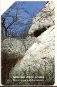 nr 708 - Szlakiem Orlich Gniazd 14 - Ruiny zamku w Suliszowicach