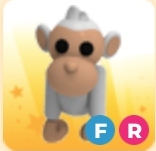 FR Albino Monkey | Adopt Me Roblox