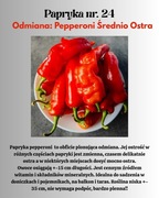 Nasiona Papryki Pepperoni 