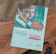 ,,Płomyk. Przyjaciel młodzieży", nr 22, 15-30.11.1965 rok
