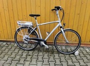 Trek Navigator T700+ Elektryk | BIONX 250W | Pełen Deore LX
